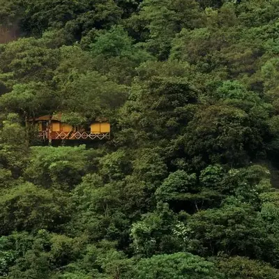 Vythiri Resort