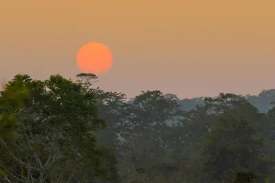 a sun rising over the trees at sunset at Kaav Safari Lodge, Kabini in Begūr