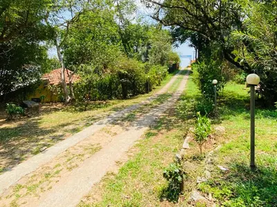 a dirt road with a pole on the side at Coorg Daffodil Guesthouse in Madikeri