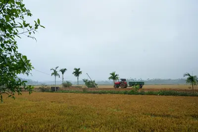 a tractor in a field with palm trees in the background at Wayal Wayanad Heritage villa in Panamaram
