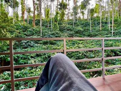 a person sitting on a fence looking at a forest at Green Castle in Gonikoppal