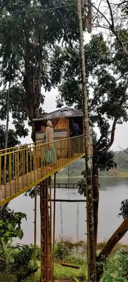a couple of people standing on a bridge over a tree at 7 Heaven Resorts in Ambalavayal