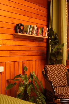 a wooden wall with a book shelf and a plant at De Rock Jungle Living Resort in Coonoor