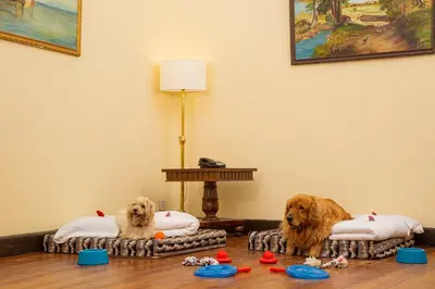 two dogs are sitting in beds on the floor at Gateway Coonoor in Coonoor