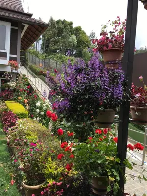 a garden of flowers in pots on a house at Radosri in Coonoor