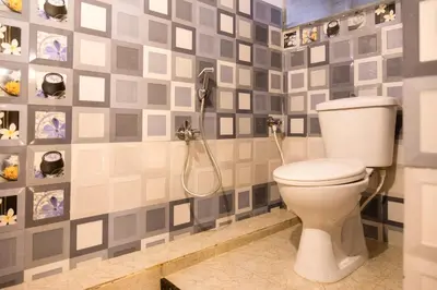 a bathroom with a toilet and a shower at Aakash Rooms and Cottages, in Ooty