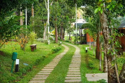 a stone path in a park with trees at LakeRose Wayanad Resort - Superior lake view in Kalpetta