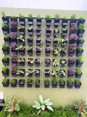 a wall of potted plants on a wall at Casa Lucio Resorts in Mannārakkāt