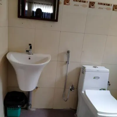 a bathroom with a sink and a toilet at HAVEN COTTAGE in Ooty
