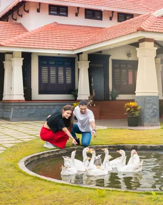two people playing with a group of swans in a pond at Wayanad Mace Mansion in Kenichira
