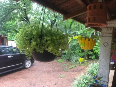 a potted plant hanging from a porch with a car at D signature Homestay By Lexstays in Kushālnagar