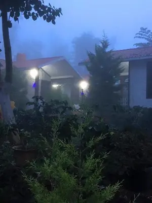 a foggy yard with a house and a tree at night at D signature Homestay By Lexstays in Kushālnagar