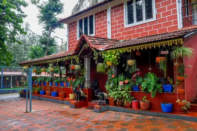 a store with potted plants in front of a building at D signature Homestay By Lexstays in Kushālnagar