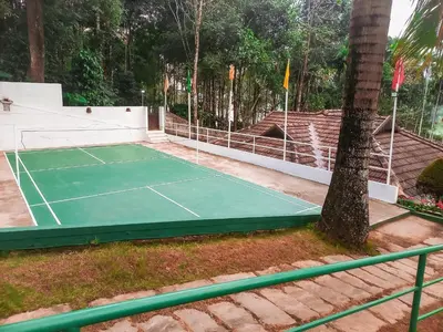 a tennis court next to a palm tree at The Wave Lakeview Resort & Spa in Wayanad