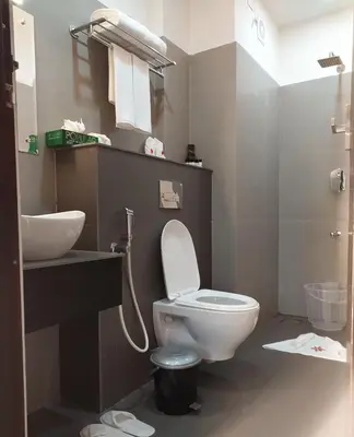 a bathroom with a toilet and a sink at SATRA WAYANAD in Kalpetta