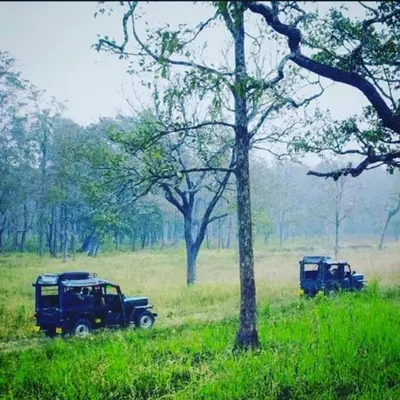 two trucks parked in a field next to a tree at Entire Villa at the Heart of the Wayanad Forest. in Kutta