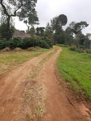a dirt road leading to a field with a house at Sardar Bahadur's Heritage Bungalow Estate Stay in Napoklu