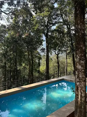 a swimming pool with trees in the background at Skyfall 900kandi in Meppādi