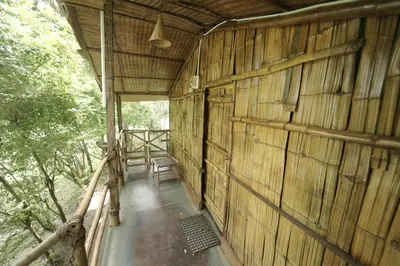 an inside view of a bamboo building in the woods at JUNGLE PARADISE FARM & GUEST HOUSE in Masinagudi