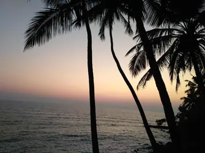 two palm trees on the beach at sunset at Perch by the sea in Kannur
