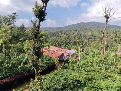 a house in the middle of a forest of trees at Shivalaya Homestay in Madikeri