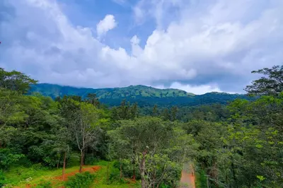 a view of a forest with mountains in the background at Dakshinakasi Guest House in Thirunelli