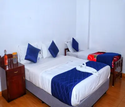 a bedroom with two beds with blue pillows at AC MIST in Munnar