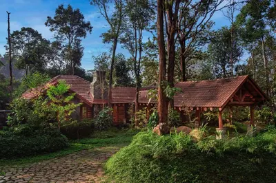 a house in the middle of a forest at Earthitects Holiday Experiences,Wayanad in Kalpetta