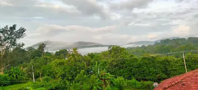 a view of a foggy valley with trees and a house at Empra Exotica in Madikeri