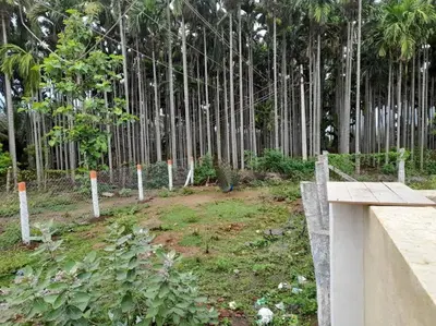 a garden with bamboo trees in the background at SHI's Bhairavi Peaceful 2bhk villa - - On the way 2 isha-Adiyogi , Maruthamalai in Coimbatore
