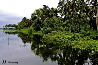 a body of water with trees and plants on it at JJ's Holiday Home in Thanniyam