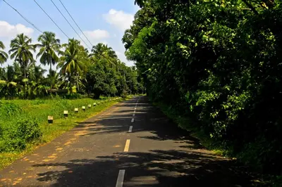 an empty road with trees on the side of the road at JJ's Holiday Home in Thanniyam
