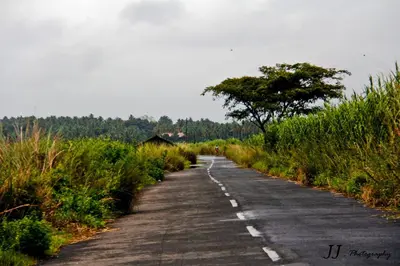 a road with a tree on the side of it at JJ's Holiday Home in Thanniyam
