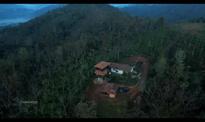 an aerial view of a house in the middle of a forest at Fortune Clio Resort in Periya