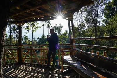 a man standing on a platform in a tree house at VanaJyotsna Forest Home in Marayoor