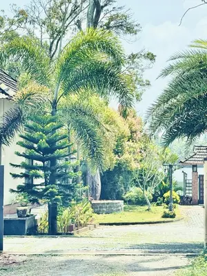 a palm tree in the middle of a park at CHERAI LAKE RESORT in Cherai Beach