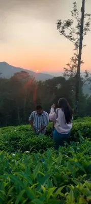 two people standing in a field with the sunset in the background at Mayflower Holiday Villa in Meppādi