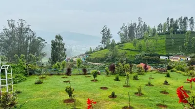 a green field with trees on a hill at Orchard Valley View in Ooty