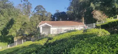 a house on the side of a grassy hill at Dew Drops Cottage Coonoor By Lexstays in Coonoor