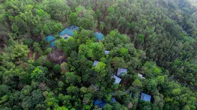 an overhead view of a house in the forest at The Hive, Wayanad in Wayanad