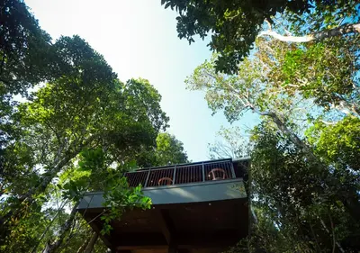 a tree house in the middle of the trees at Chembarathi Wayanad Boutique Resort in Vaduvanchal