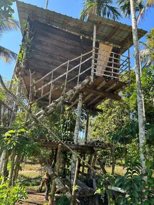 a tree house in the middle of trees at Lotus Jewel Forest Camping in Sultan Bathery