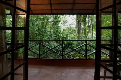 a room with a view of a forest from a window at Coffee Acres Resort in Kalpetta