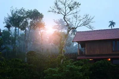 a house in the middle of a forest with the sun shining at Niyatma Wayanad Pool Resort by VOYE HOMES - Inside Coffee Plantation in Wayanad