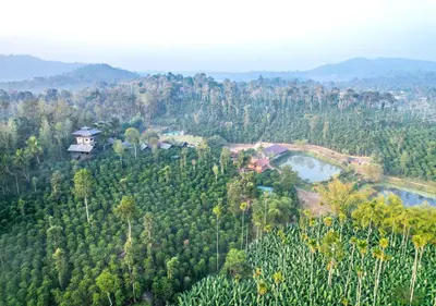 an aerial view of a house in the middle of a forest at Niyatma Wayanad Pool Resort by VOYE HOMES - Inside Coffee Plantation in Wayanad