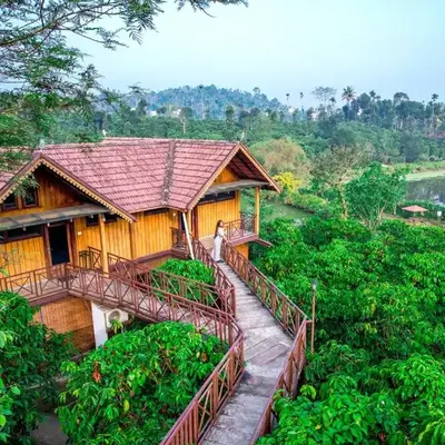 Niyatma Wayanad Pool Resort by VOYE HOMES - Inside Coffee Plantation