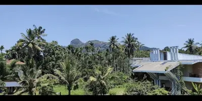 a house in the middle of a forest of palm trees at Johns Villa in Sultan Bathery