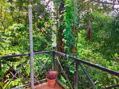 a black fence with a potted plant on it at Golden Cypress Resort with Pool -Wayanad in Padinjarathara