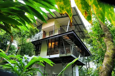 a building with a balcony in the middle of trees at Solitude Munnar - Tree house in Munnar