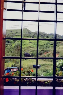 a view from a window of a field of flowers at Ammukutty's Cottage in Munnar